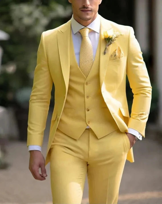 Costume complet pour invités de mariage hommes